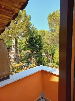 Balkondan bahçe ve ağaçlar