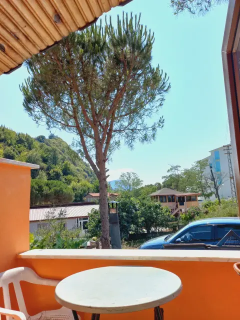 2 Kişilik Oda: Balkondan çam ağacı ve çevre