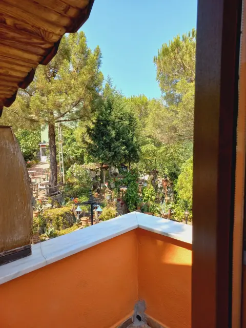 Balkondan bahçe ve ağaçlar
